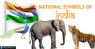 The national fruit of india is known as mango. National Symbols Of India And Their Meaning National Animal Bird Emblem Fruit Flower Tree And Sport Of India Education Blogs
