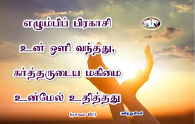 Trust quotes — i'm a good enough person to forgive you, but not stupid enough to trust you again. Pin By Rehoboth On à®ªà®© à®¤ à®¤ à®³ à®•à®³ Tamil Bible Verse Bible Words Trust God Tamil Bible