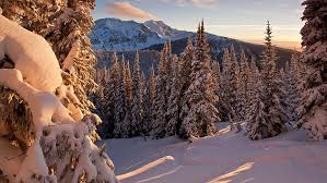 We did not find results for: Hd Wallpaper 8k Nature Photo Snow Winter Cold Temperature Mountain Wallpaper Flare