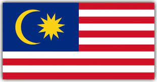 Chinese boy holding malaysia flag. Flags Of Malaysia