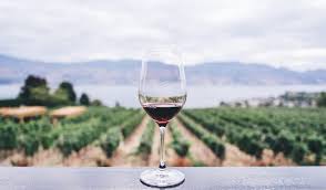 Check spelling or type a new query. The 65 Best Grilling Wines For End Of Summer Honest Cooking