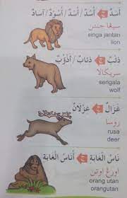 Ini ialah senarai bintang yang diberikan nama dalam bahasa arab. Facebook