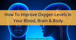 Of course, we all breathe in and get sufficient amounts of oxygen. How To Get More Oxygen In Blood Arxiusarquitectura