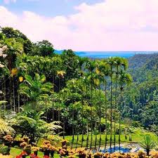 Jardin De Balata Martinique Antilles Francaises Caraibes