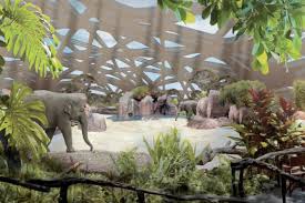 Top 20 Things To Do In Zurich Zurich Zoologischer Garten Stuff To Do Things To Do World