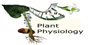 Maybe you would like to learn more about one of these? Plant Physiology Biology Assignment Point