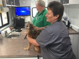 Our highly trained staff is available for your pet's needs at any hour of the day or night. Veterinarian Opens Local Office On Wheels The Biz Record Eagle Com