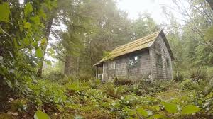 Sleepy bear is a 2 bedroom cabin located in sevierville by hearthside cabin rentals. Old Trappers Cabin In The Stock Footage Video 100 Royalty Free 23181460 Shutterstock