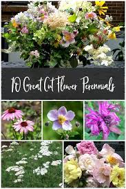 Pin On Gardening