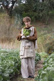 Pin On Strawberry Shoot