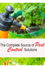 Companies providing residential pest exterminator services have gone up throughout the years. Organic Pest Control Solutions For A Healthier Home 2021 Own The Yard Organic Pest Control Organic Pest Pest Control