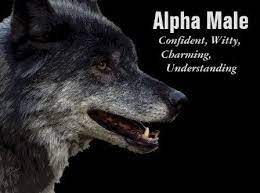 The Alpha Male Alpha Male Quotes Wolf Quotes Lone Wolf Quotes