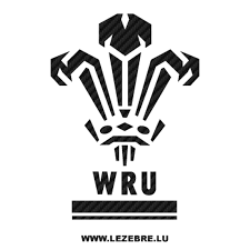 Alors comment faire tomber le pays de galles, auteur du grand chelem lors du six nations et vainqueur de ses quatre matches de poule au japon ? Sticker Karbon Wru Pays De Galles Rugby Logo