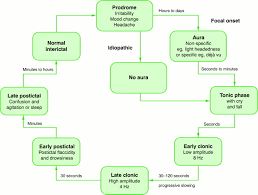 Learn about the symptoms, causes, and treatment options here. Assessment And Investigation Of Possible Epileptic Seizures Journal Of Neurology Neurosurgery Psychiatry