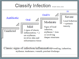 Image result for IDSA Diabetic Foot Wound Classification