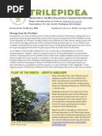 Image result for Dactyladenia gilletii