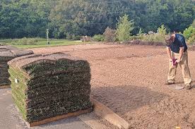 Laying sod in late summer or early fall if possible to avoid the summer heat and this will allow for plenty of time for your sod to become established before cooler weather sets in during the late fall. Lawn Care Plant Sod In Winter Or Wait Till Spring Amelia Island Living Emagazine