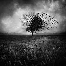 Tree black and white art. Black And White Canvas Art Icanvas