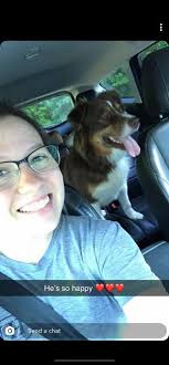 Sorry to keep posting. Chace is still missing 😔😢