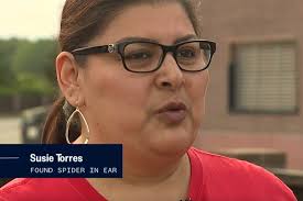 Zastrašujuće: Ljekari u uhu žene pronašli otrovnog pauka