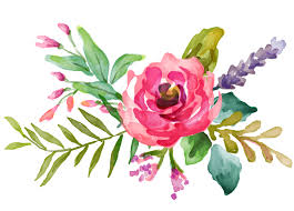 Flores Jardim E Etc Flores Pintadas Fondos Acuarela Arte De Acuarela Ramo de flores acuarela pintura playa rosa, material de rosas de acuarela, tres flores de pétalos rojos png clipart.
