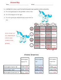 Dihybrid crosses f1 dihybrid cross worksheet by cynthia dickerson. Dihybrid Crosses F1 Dihybrid Cross Worksheet By Cynthia Dickerson