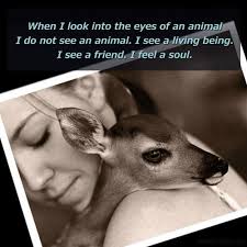 When I Look Into The Eyes Of An Animal I Do Not See An Animal Animals Are Our Brothers Animal Quotes I Love Dogs Animals Friends
