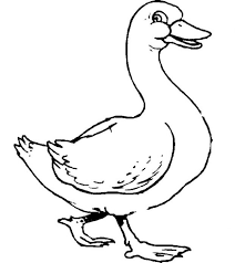 Dibujos Animados Para Colorear Pato
