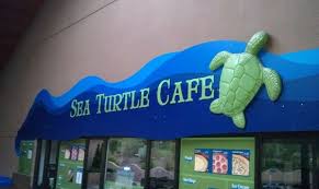 Sea Turtle Cafe Omaha Henry Doorly Zoo Aquarium Dinosaur Stuffed Animal Sea Turtle Animals