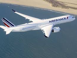 Après avoir été escorté par un rafale, l'avion a atterri sans encombre. Air France Pres De 150 Destinations Cet Ete Air Journal