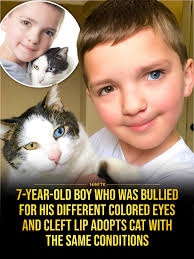 He spent years hiding from the world, until a cat with the same scars  showed him he was never alone.🥰