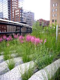 The High Line In New York By Planting Designer Piet Oudolf Dutch Gardens Landscape Design Landscape Architecture