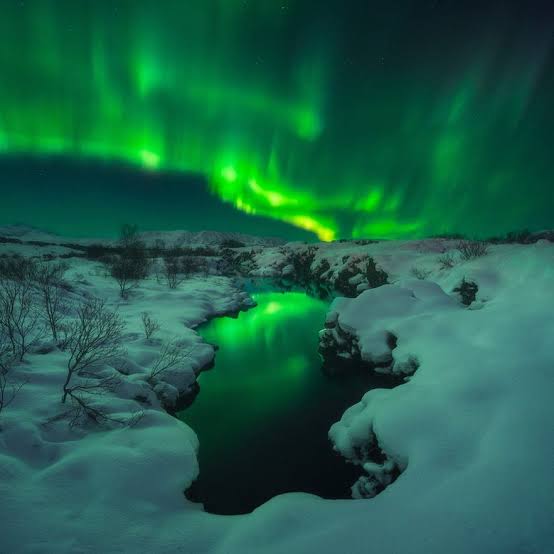 Image result for Northern Lights in Iceland"