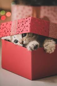 Pin On Have Yourself A Merry Little Christmas