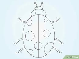 Mark off the width and height of the ladybug. How To Draw A Ladybird 8 Steps With Pictures Wikihow
