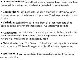 Mechanisms Of Evolution Vocabulary Reproductive Rights Birth Rate Life