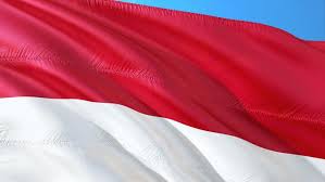 Macam Macam Puisi Kemerdekaan Tumbuhkan Rasa Nasionalisme Dan Patriotisme Ragam Bola Com