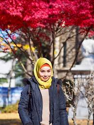 Bajet trip kita juga dipengaruhi oleh musim bila kita pergi. Itinerari Dan Kos 9h 8m Ke Korea Di Musim Luruh Kakitravel Net