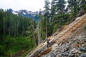 Hoh River Trail Olympic National Park Hoh Rainforest To Blue Glacier On Mt Olympus Branaman Photography National Parks River Trail Olympic National Park