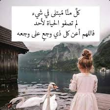 pin by ztebam on جمال الكلمات cute love images love images life quotes to live by