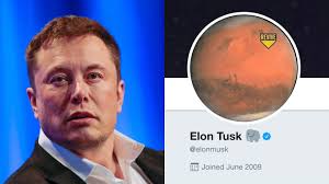 Lindsey buckingham and christine mcvie perform 'tusk' in 2017 02 march 2021 | rolling stone. Elon Tusk Tesla Ceo Changes Twitter Name Says There Will Be News On Thursday Marketwatch