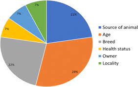 About 30% of animals in shelters are left there by their owners. Prevalence And Risk Factors Of Japanese Encephalitis Virus Jev In Livestock And Companion Animal In High Risk Areas In Malaysia Springerlink