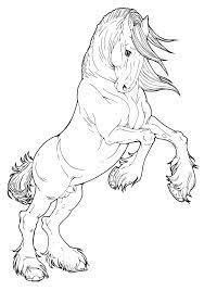 This article includes horse coloring sheets in cartoon and realistic forms. Pin By Samantha Ann On Equidae Horse Coloring Pages Horse Drawings Horse Coloring