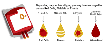 Through our sister company, cord blood registry (cbr), all california cryobank families now receive the special perks of cord blood and cord tissue banking. Got Platelets Northern California Community Blood Bank
