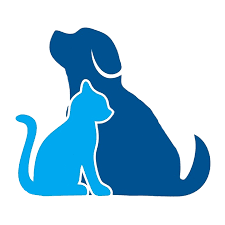 Maybe you would like to learn more about one of these? How To Choose A Good Dog Breeder Doncaster Vet