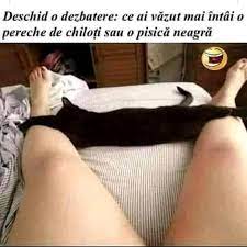 Poze funny - Poze funny added a new photo.