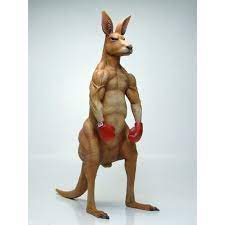 As soon as a kangaroo leaves its mother's pouch there's no time to lose to learn the most valuable skills. Cool Boxing Kangaroo Bust Of Resin White Model Diy Paint Graffiti Lovers Favorites Bust Model Bustbust Resin Aliexpress