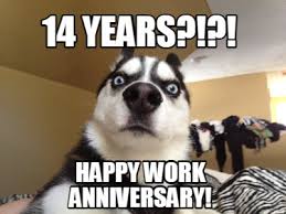 Here's to another year of excellence and depth of insight. Meme Creator Funny 14 Years Happy Work Anniversary Meme Generator At Memecreator Org