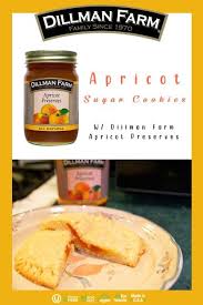 Image result for Apricot 1983 Hussmann