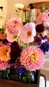 🌸 Our amazing local florist @highcountryflowery has absolutely transformed  the shop with the most stunning summer blooms! The colors, the fragrance,  the vibe, just pure magic. ✨, And how good do they ...